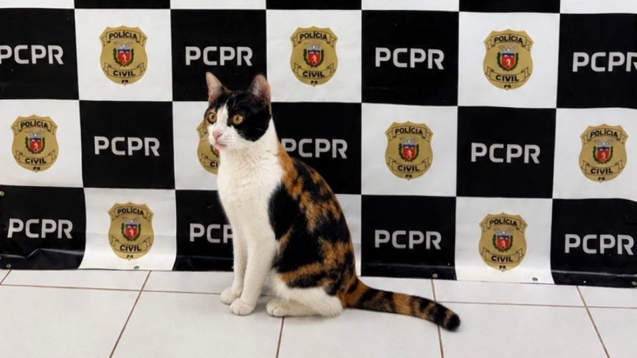 Foto: Foto: PCPR