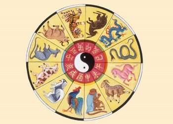 1786240135_Horoscopo-chines.jpg