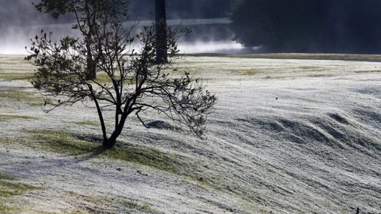 1787554416_Frio.jpg