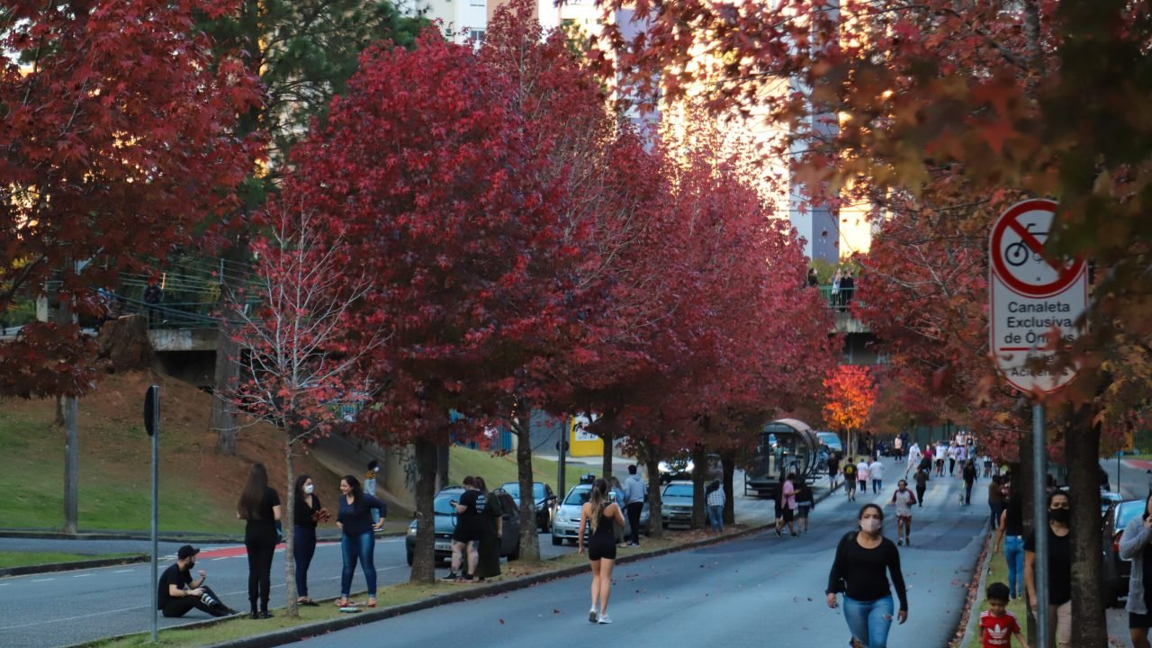 Foto: Governo do Paraná