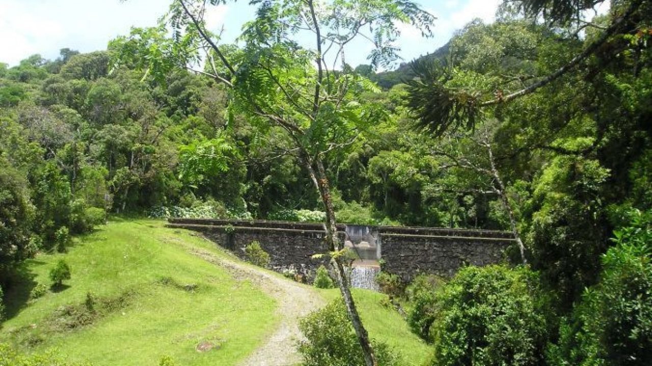 Sanepar conquista reconhecimento internacional em segurança hídrica e mudanças climáticas