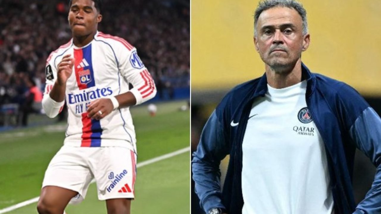 3l7qn49xaj8a0tno666zpqvg7