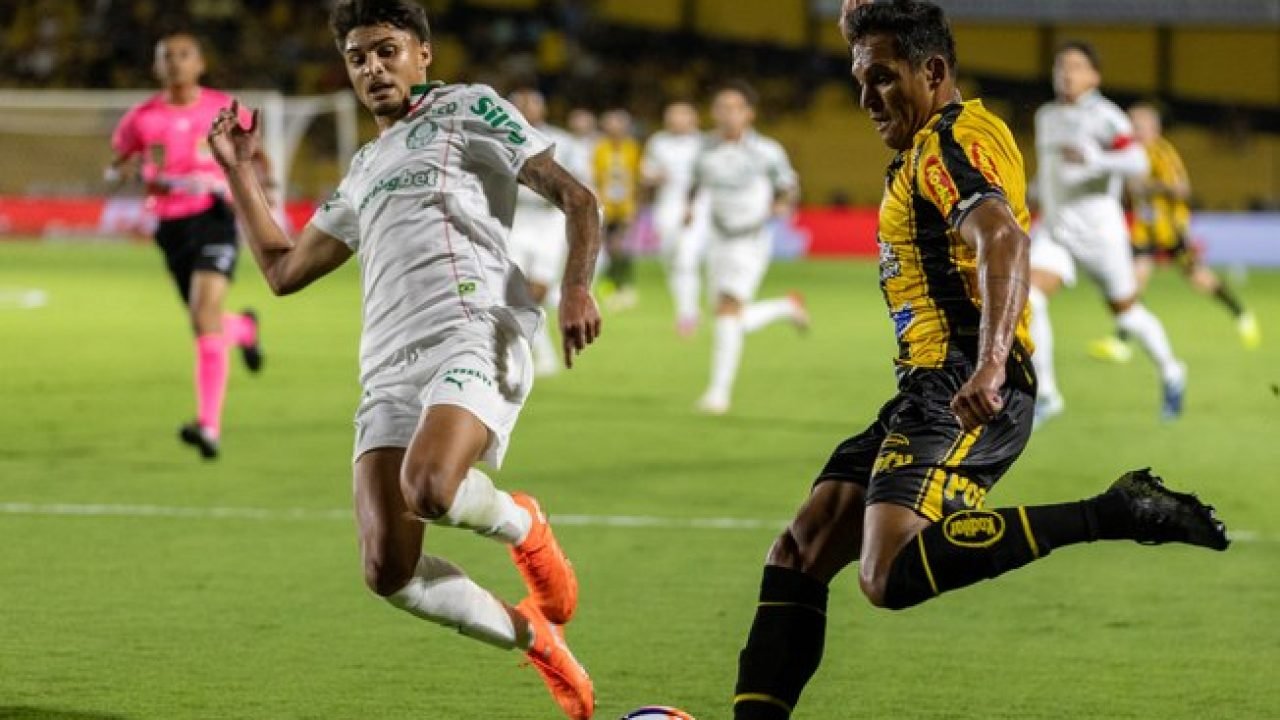 4p9akd7wnicz884ad1pg6j9yr