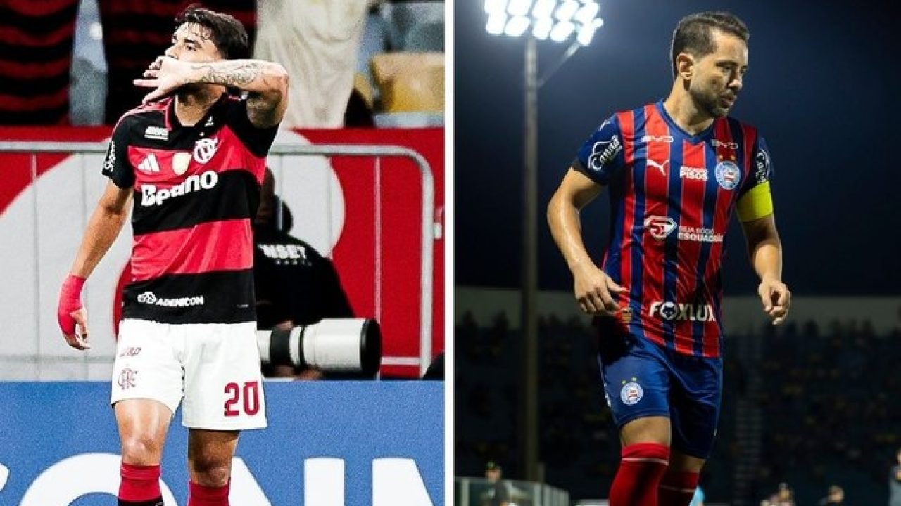 6656nj9mqah0z1sjmu0tvzo9b