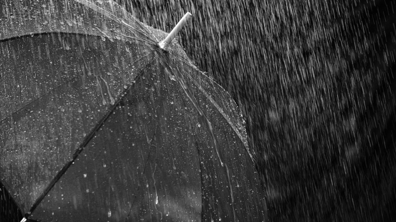 Saiba em que regiões do Brasil deve chover acima da média no verão