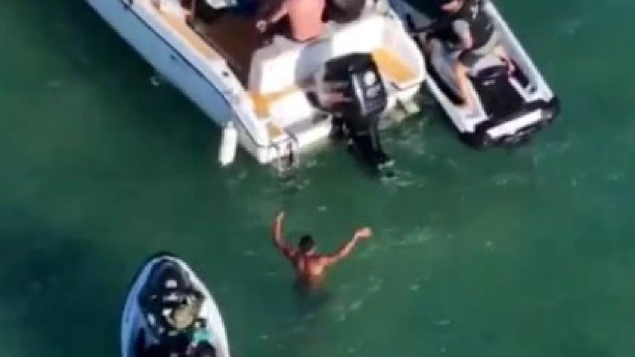 699795067cff12b4473bf35b_LiCC81der20do20CV20preso20-20420-1