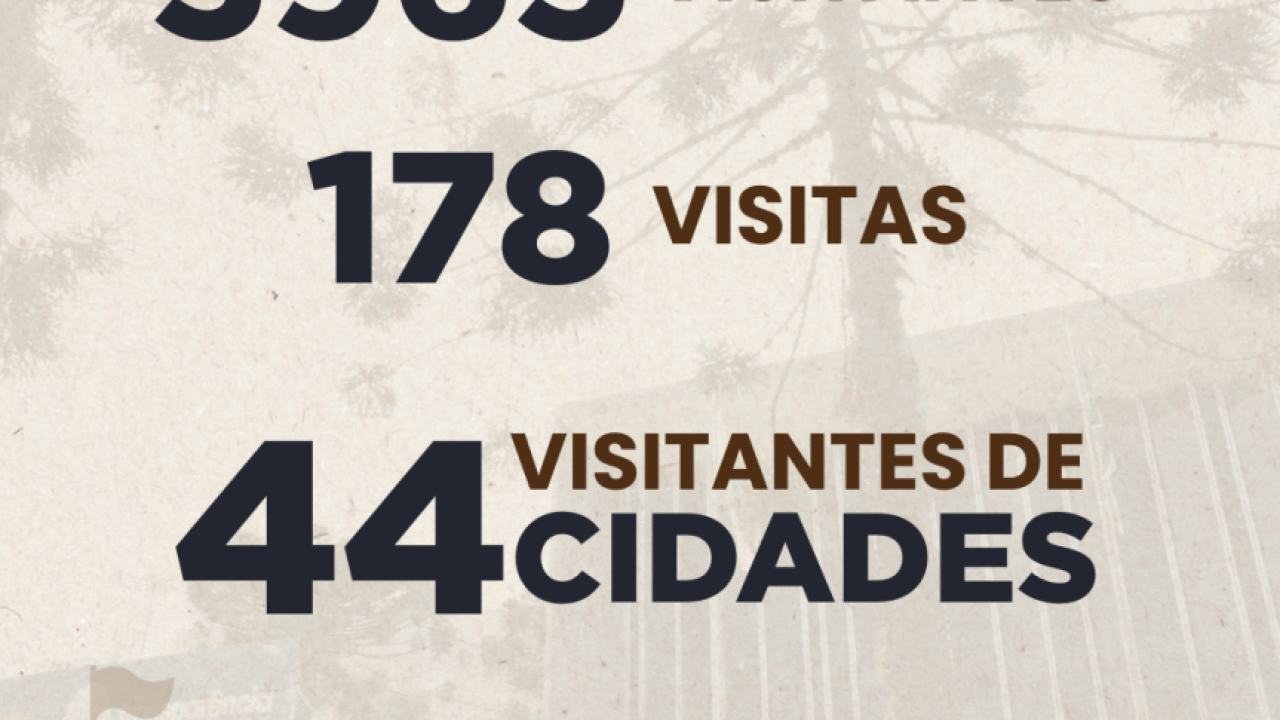 Visitas à Assembleia do Paraná crescem 23% em 2025, com destaque para escolas e instituições