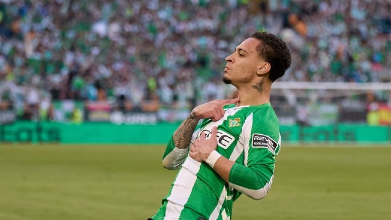 6e8qjtf1jimdiwda8n5ruxm5f