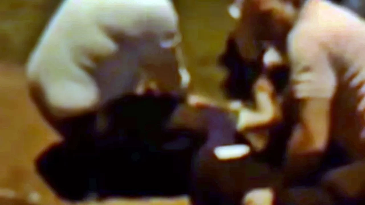 Homem é detido após ameaçar fiéis durante culto em Cascavel