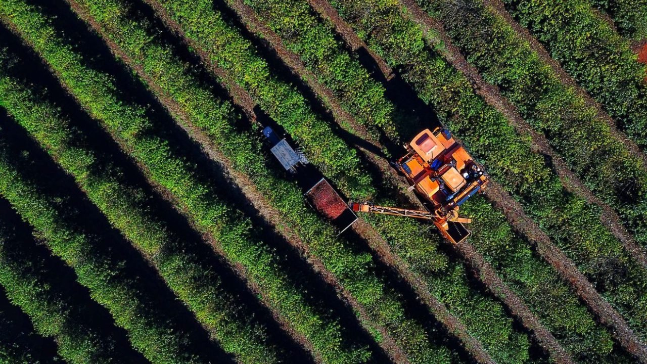 Agroindustria-Parana-tarifas-EUA-Jose-Fernando-Ogura-Arquivo-AEN