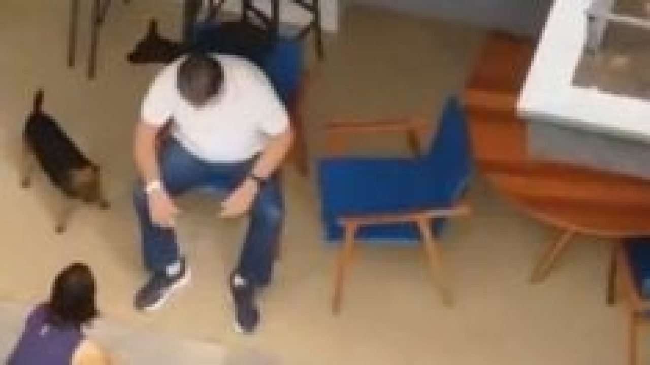 Captura-de-tela-2026-03-27-153306-300x132-1