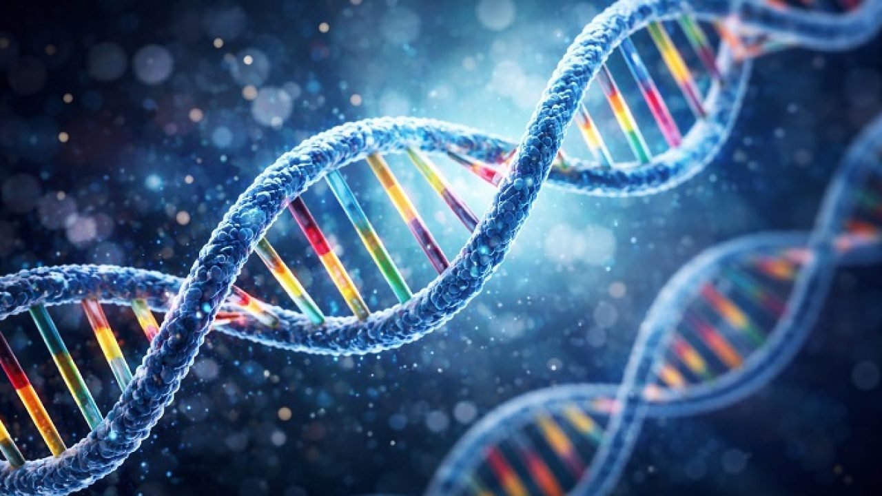 DNA-8745.jpg