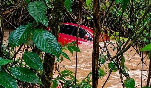 Fox-levado-pela-Chuva.jpg