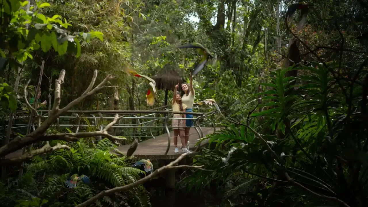 ParquedasAves-Divulgacao