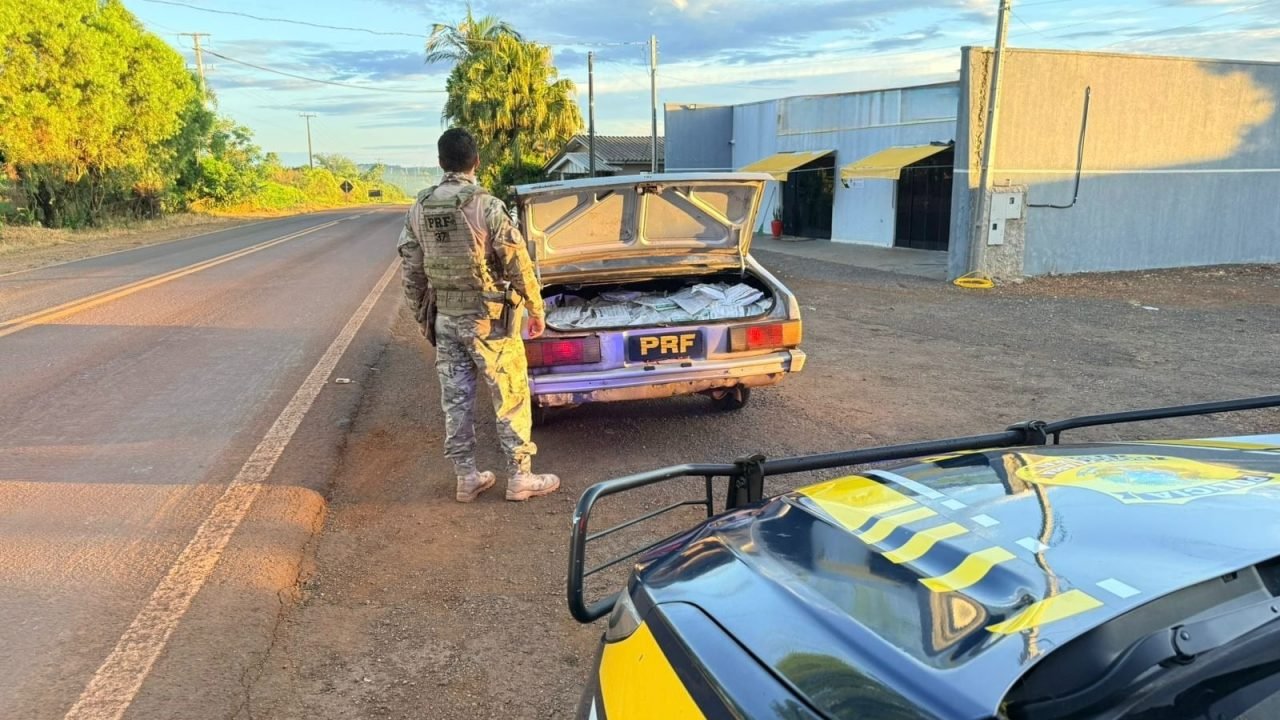 PRF apreende 200 kg de agrotóxicos contrabandeados na PR-180