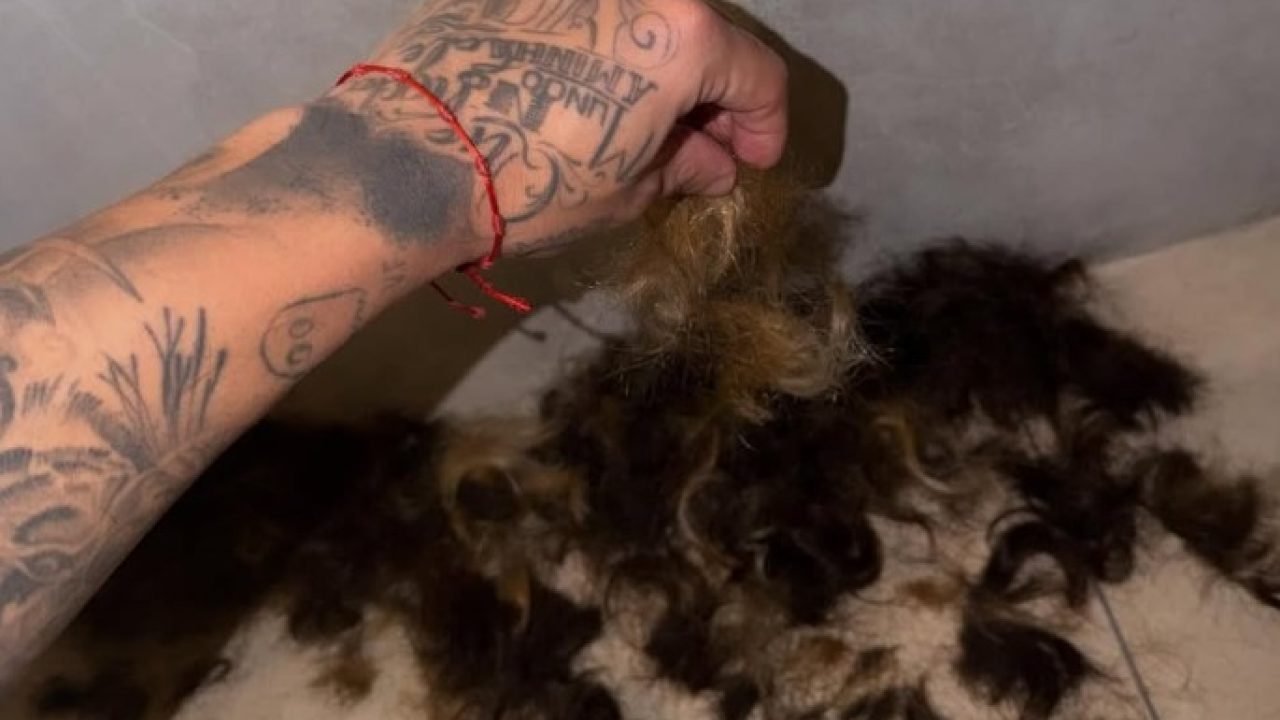 Zé Felipe surpreende fãs ao surgir com mudança radical no visual