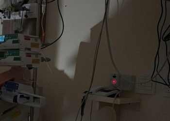 a5ruet29wwhe48kbg0n3vbksl