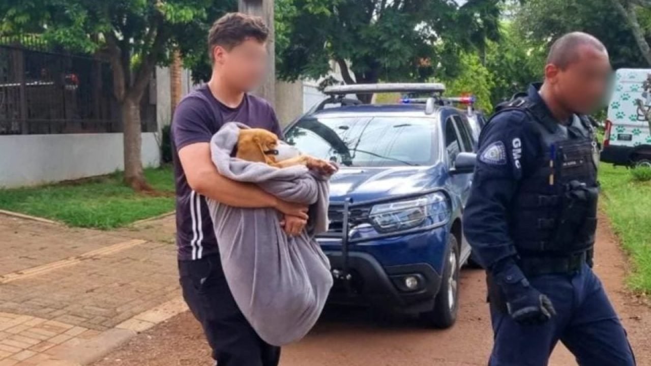 O homem é suspeito de abusar sexualmente do Beagle, que foi levado a uma clínica