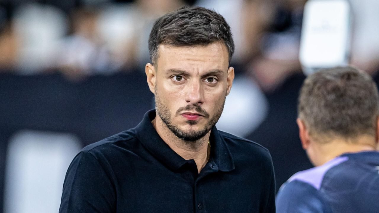 anselmi-botafogo-crise