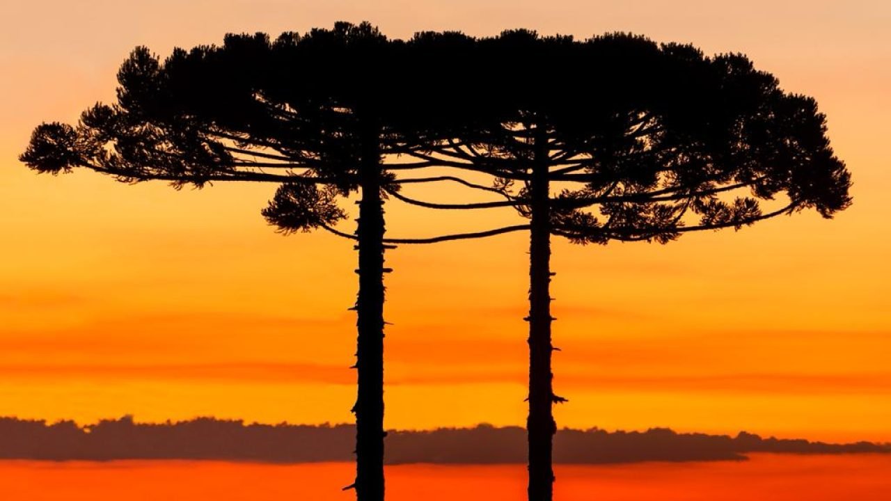 A onda de calor extremo deve continuar até segunda-feira