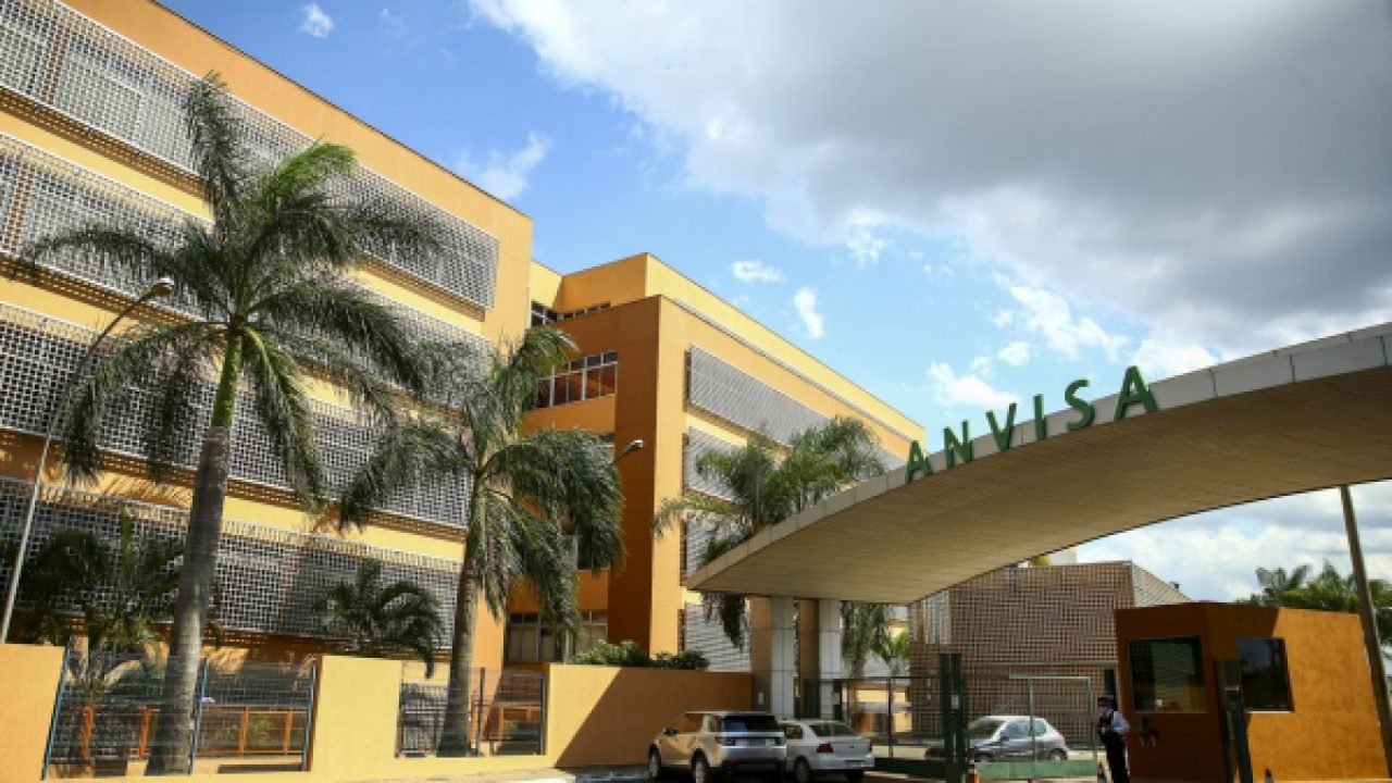 Anvisa manda recolher panetones com fungo