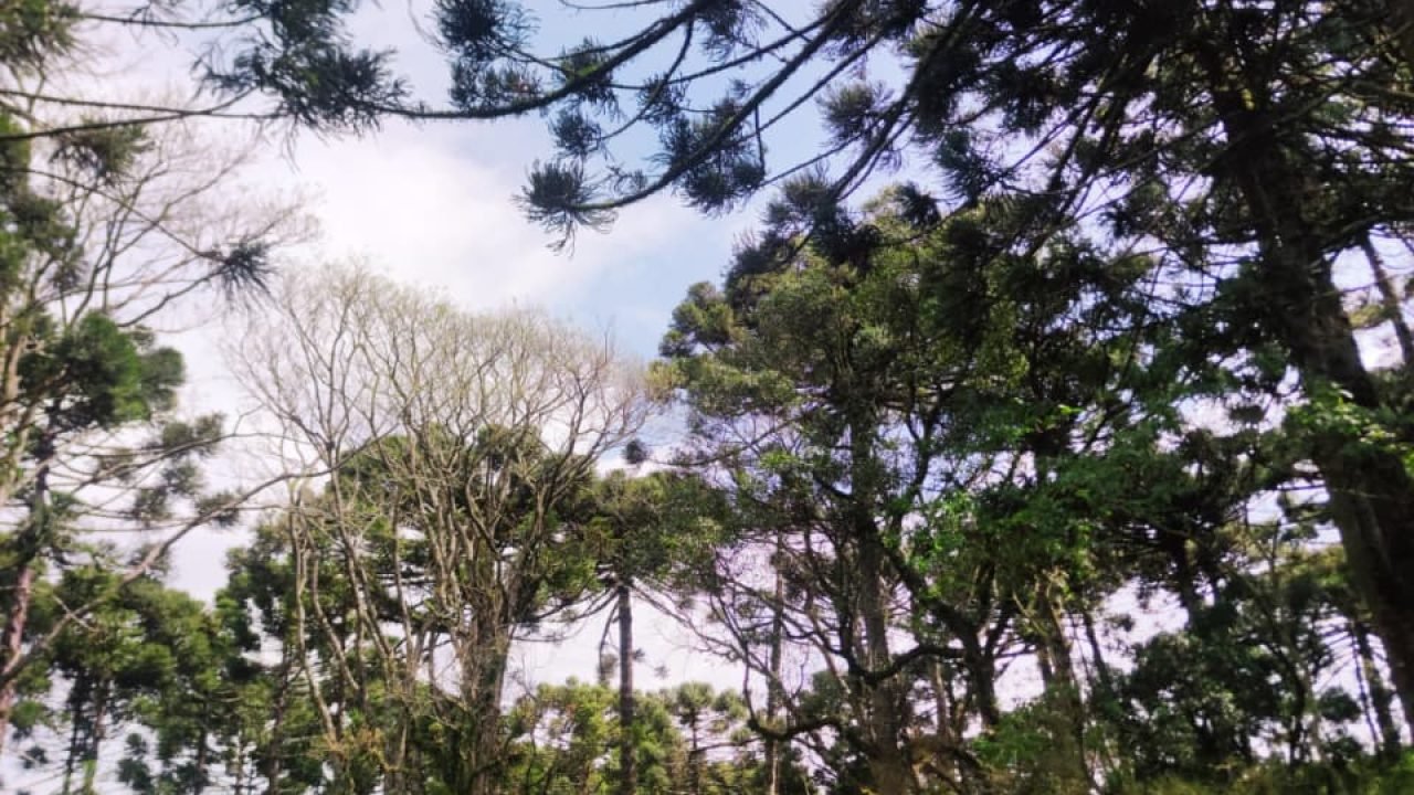 bd53e3683edaf19940ab6c00f6522042617c146e