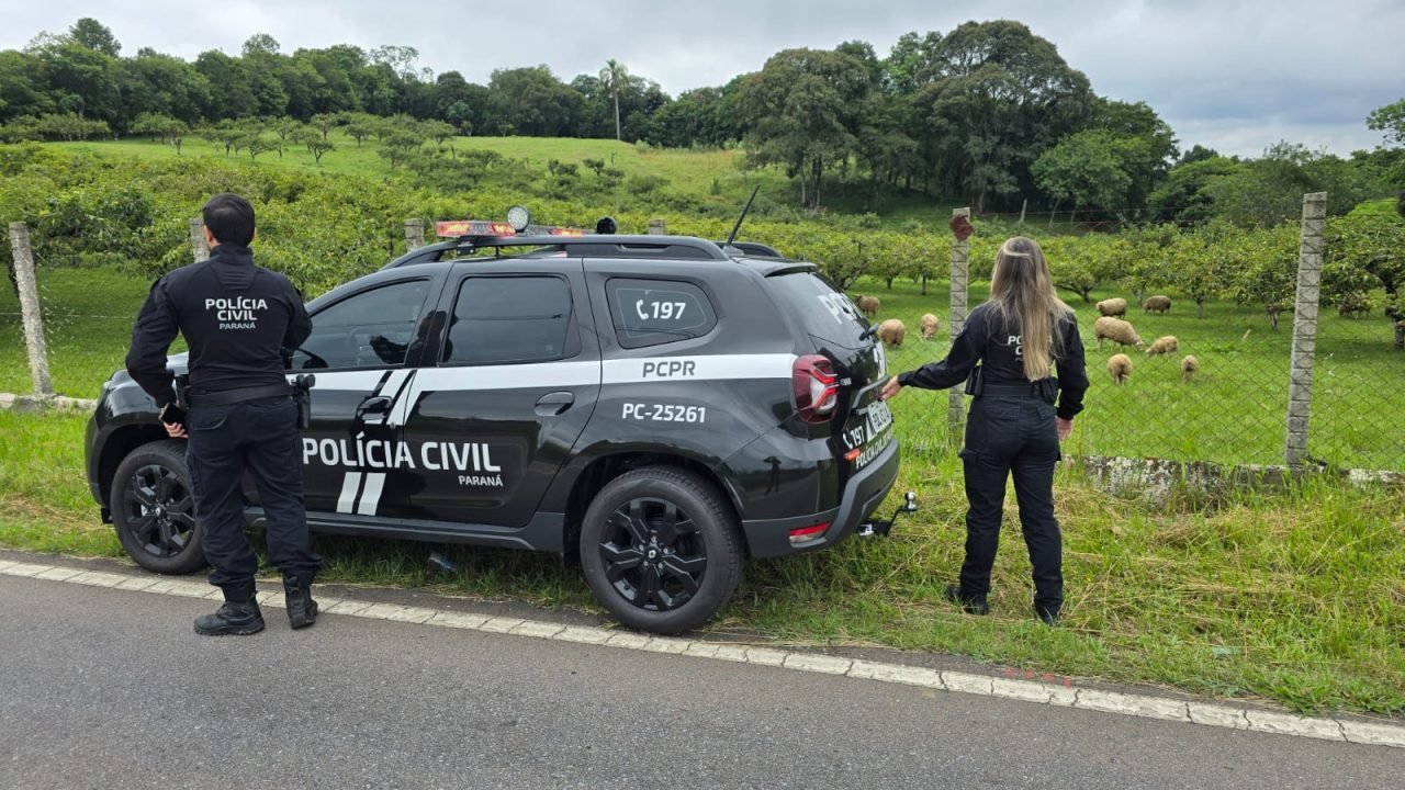 Foto: Governo do Paraná