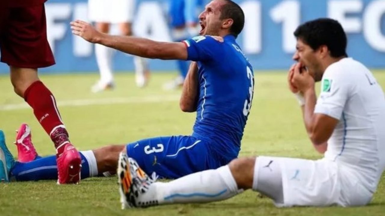 bpic6tfoeeenqk5voq8cvtvjs