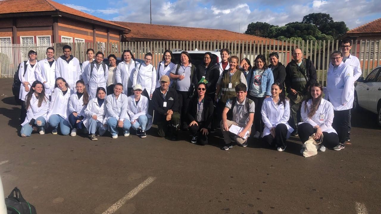 Prefeitura de Guarapuava orienta população sobre prevenção de doenças causadas por mosquitos