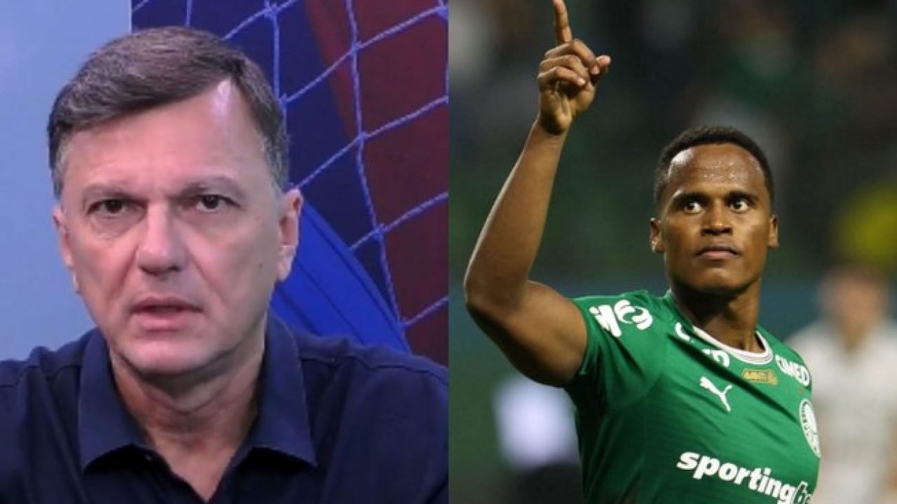 calq8ddwslpi5yq3id58xbhsr