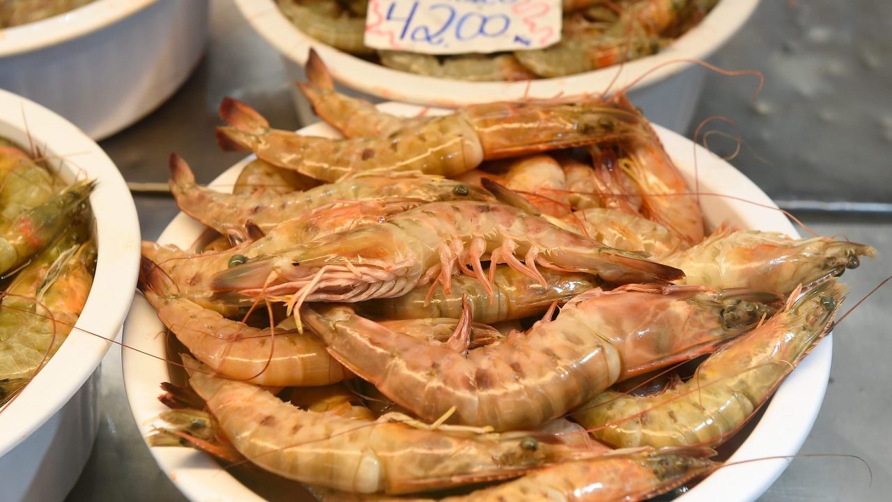 Foto: Governo do Paraná