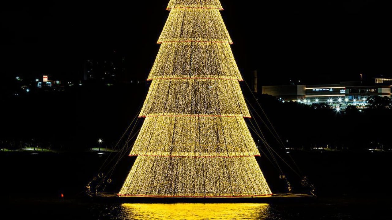 Árvore flutuante: Furto de cabos de energia atrasa o início da iluminação