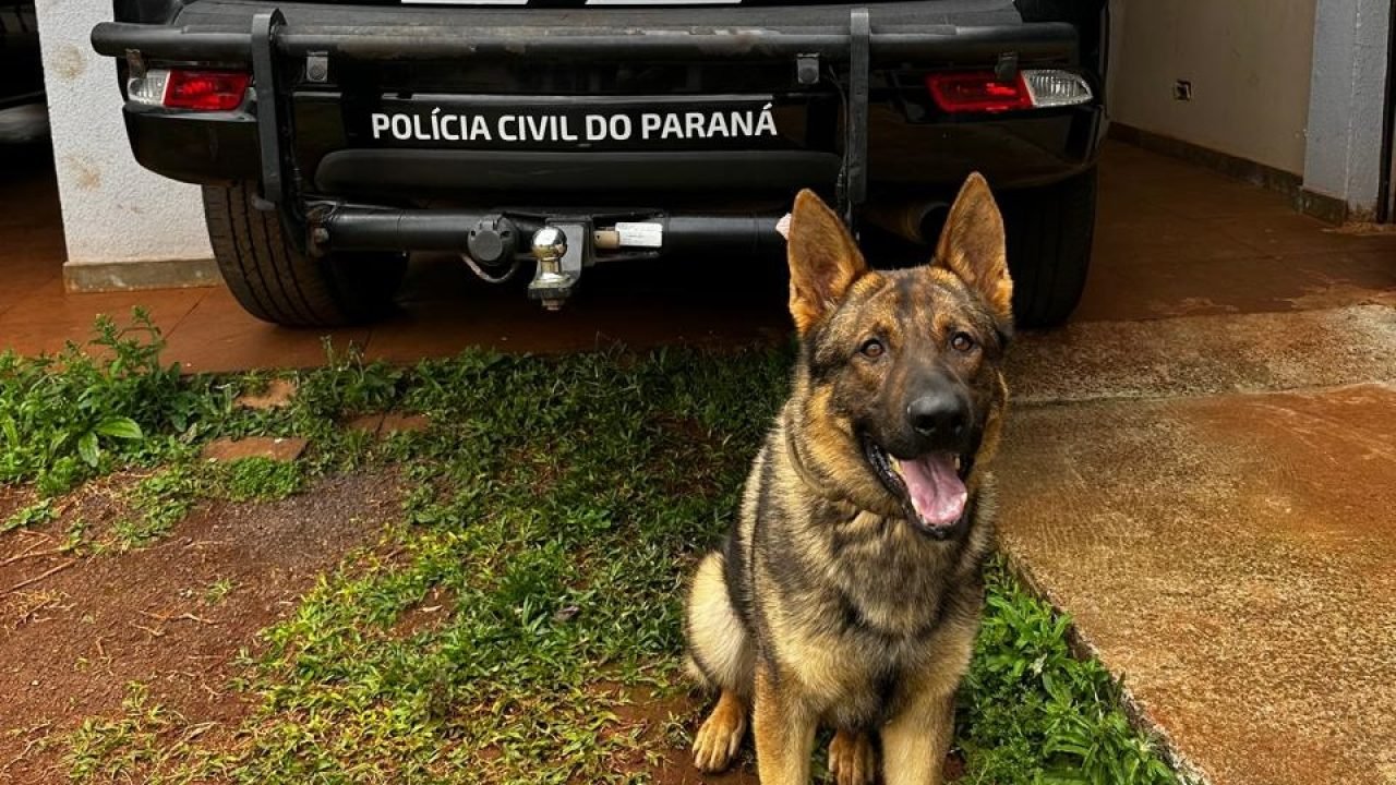 Foto: Governo do Paraná