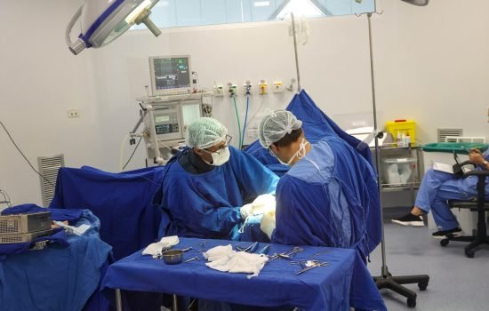 Foto: Governo do Paraná