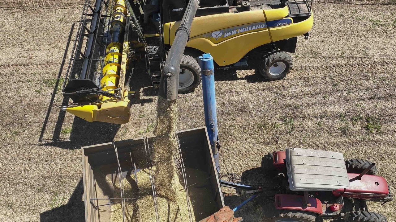 Foto: Governo do Paraná