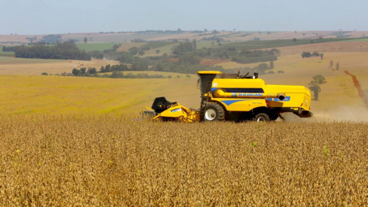 Safra de soja do Paraná se aproxima do recorde e reforça otimismo no campo, aponta Deral