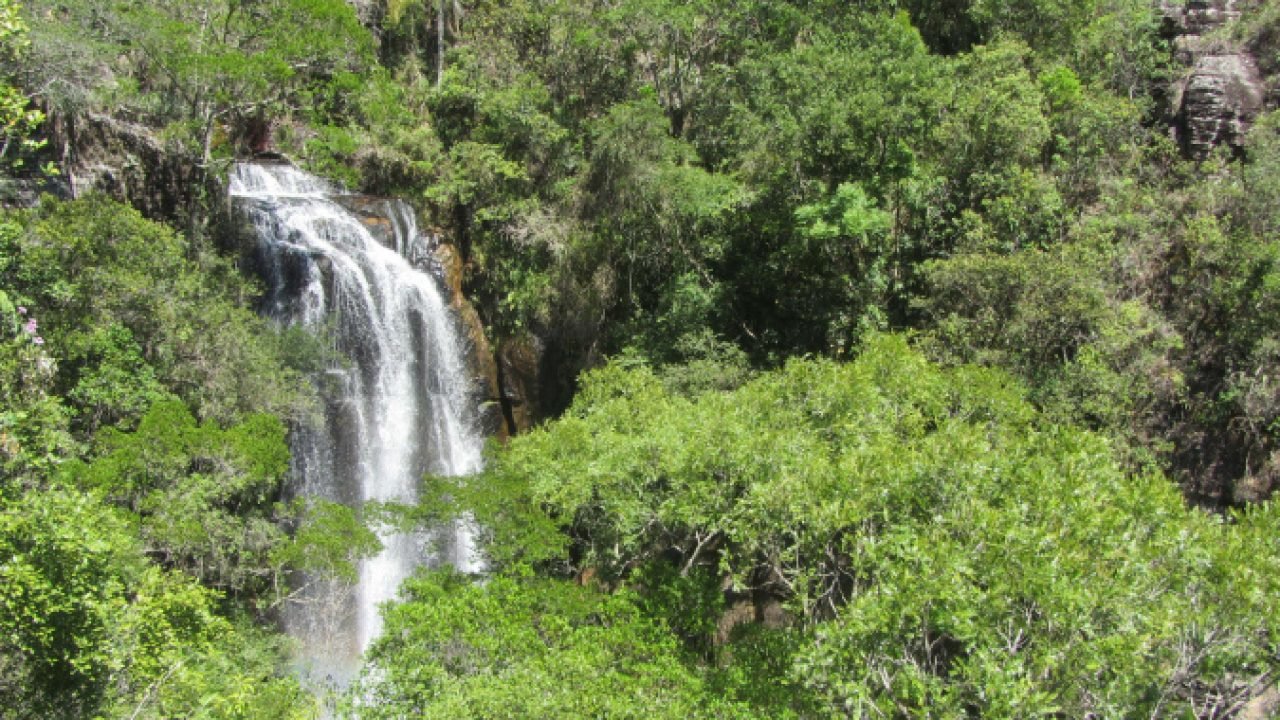 Estado divulga relação de reservas naturais classificadas no edital de créditos de