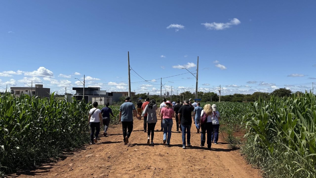 Foto: Governo do Paraná