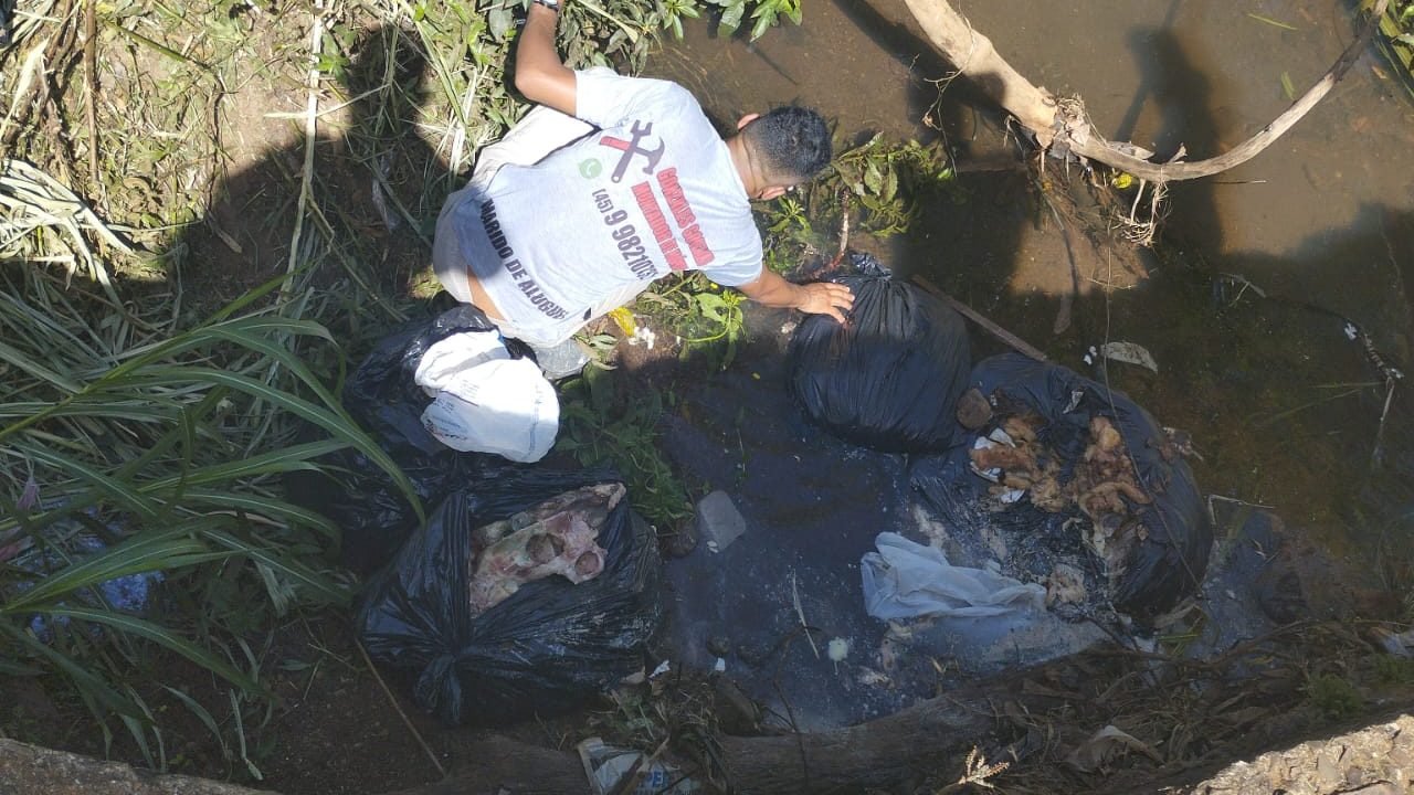 Restos de carne são encontrados descartados irregularmente em córrego no Bairro Neva