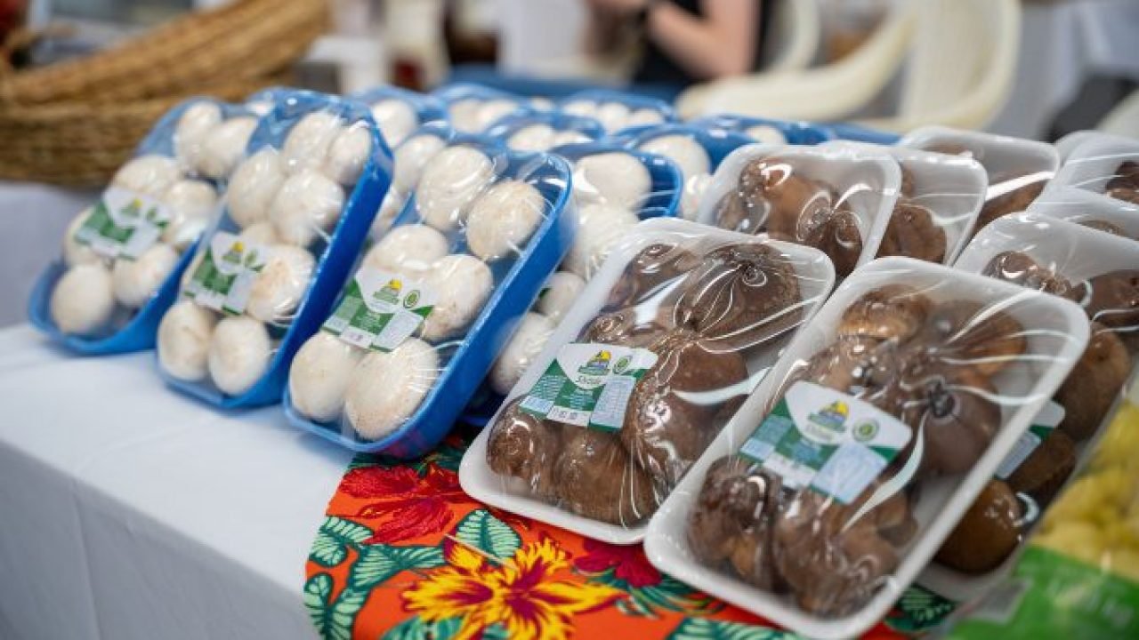 Paraná dobra produção de cogumelos em dez anos