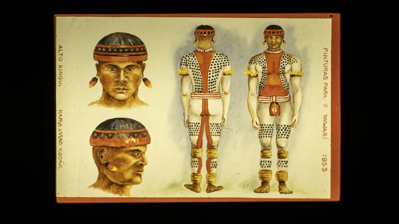 Foto: Governo do Paraná