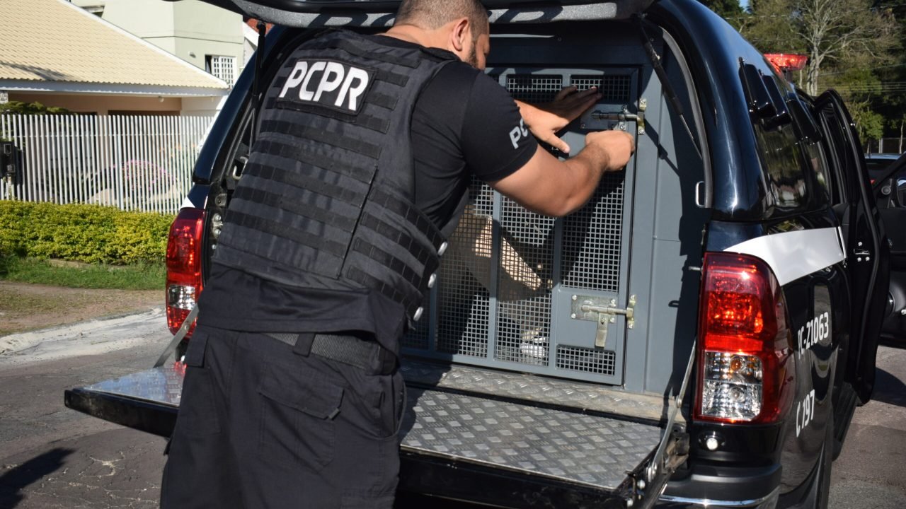 Foto: Governo do Paraná