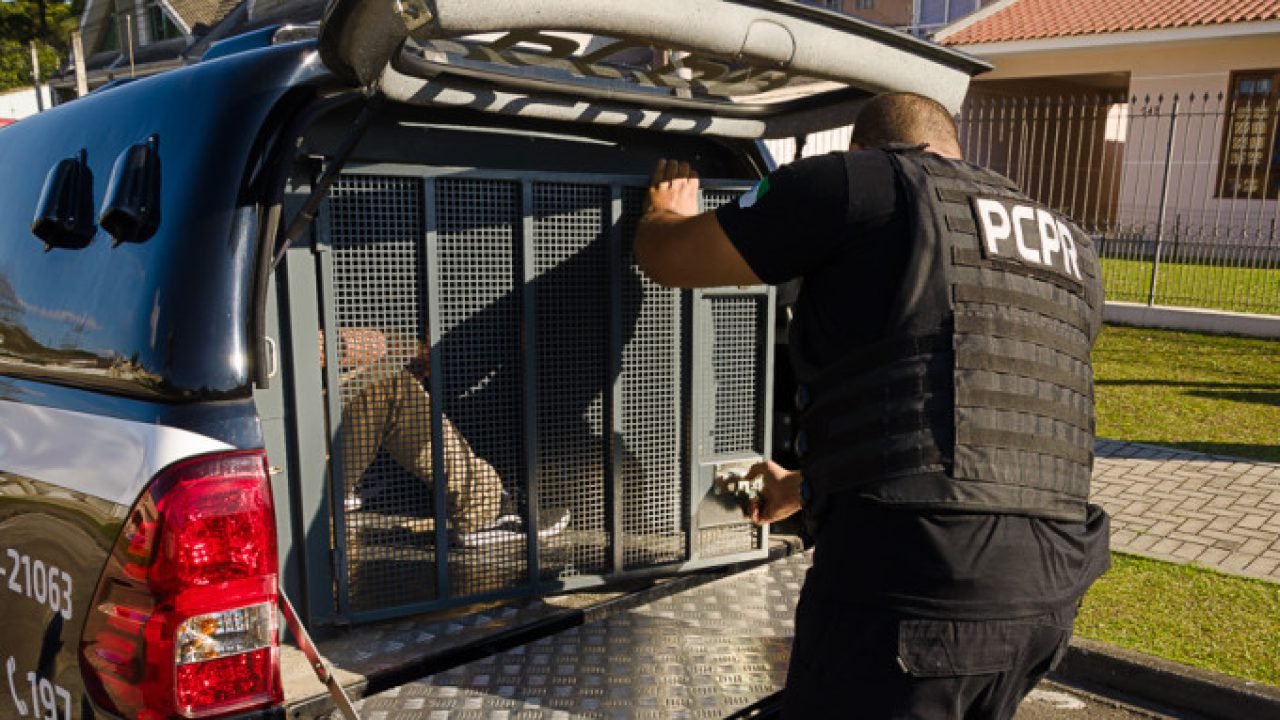 PCPR prende dois investigados por estupro de vulnerável em operação em Cascavel