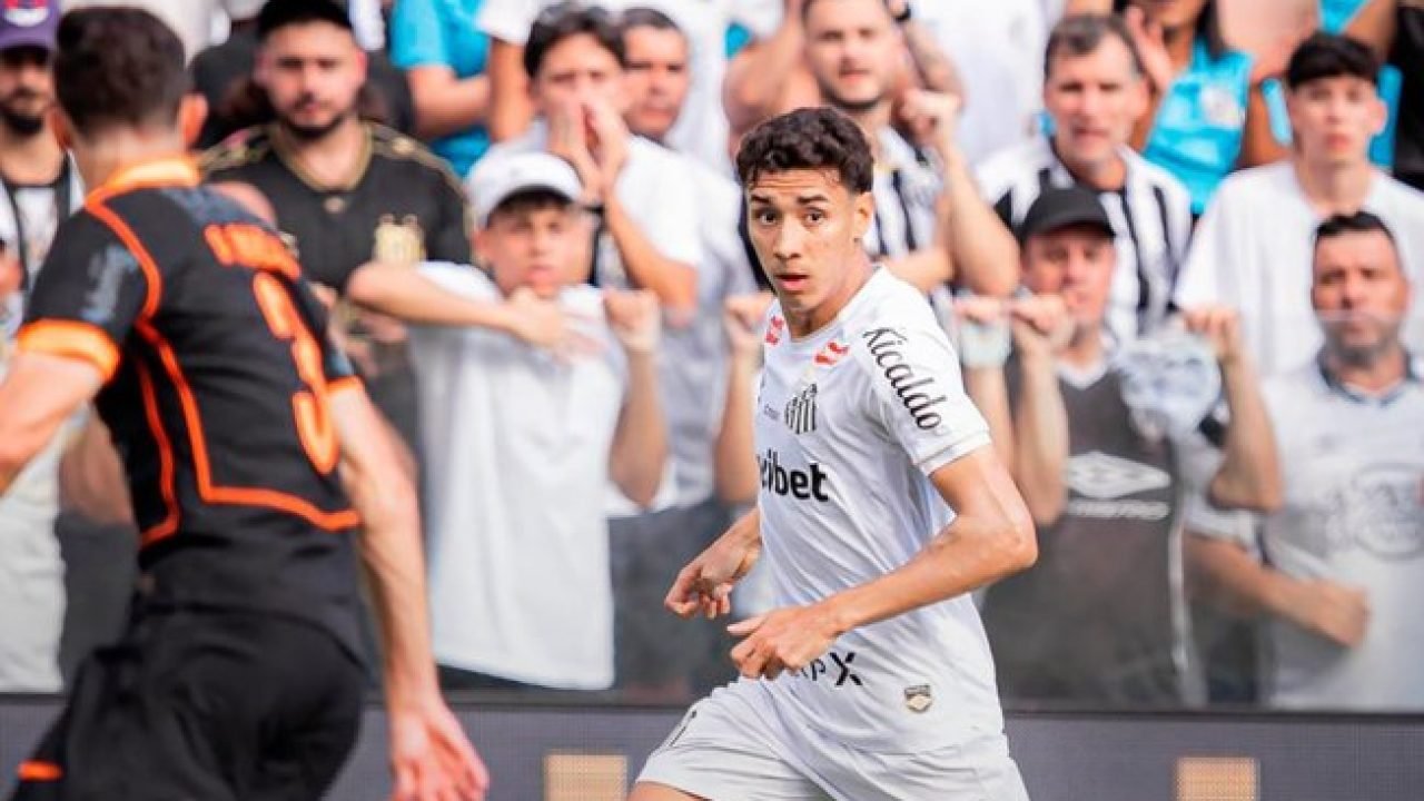 dzylrdmimkfwq0aghxvmc78wo