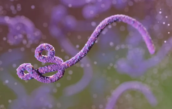 ebola-metropolesjpg006458180202606132249.webp.webp