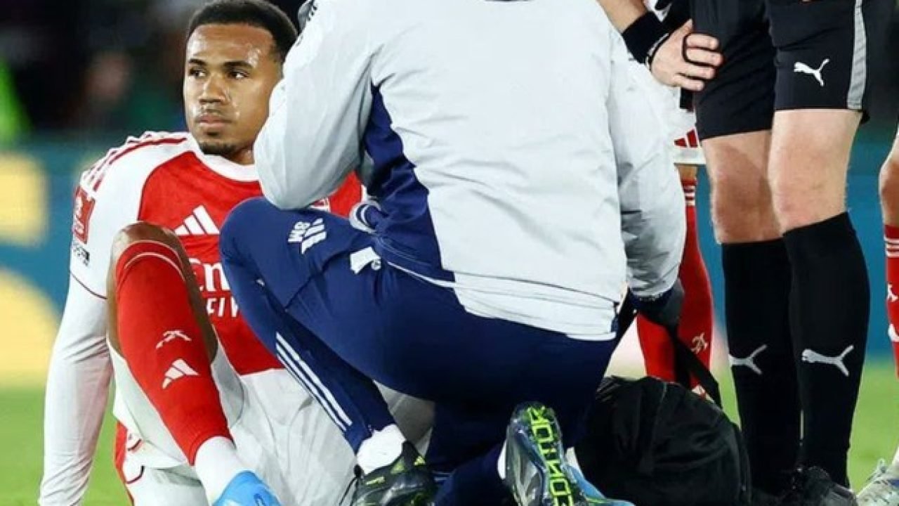 el1mmv78rgfujs0izniqr8yvk