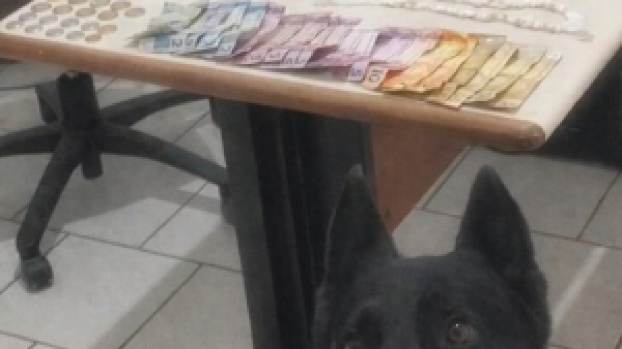 PMPR prende homem por tráfico de drogas em Guaratuba