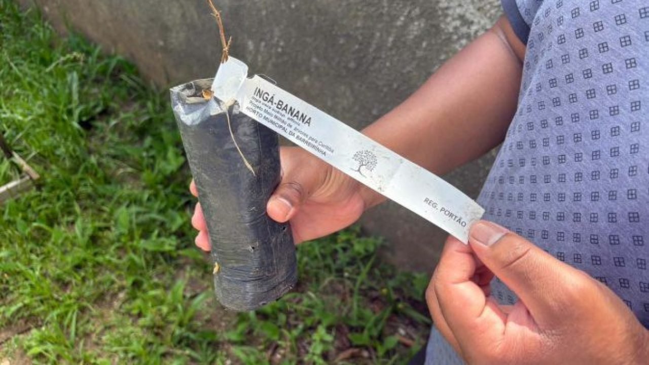Alunos criam 'Canteiro de Africanidades' para ensinar história e cultura afro-brasileira