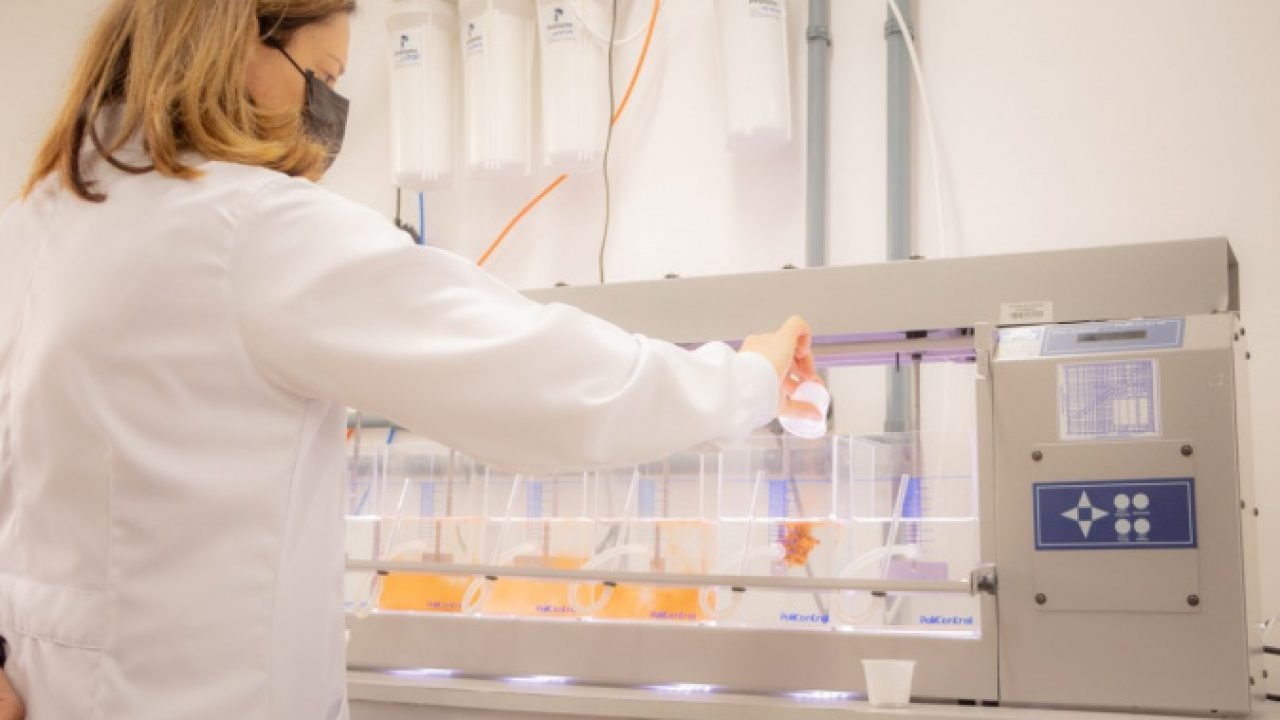 Universidades estaduais do Paraná ampliam número de programas bem avaliados pela Capes