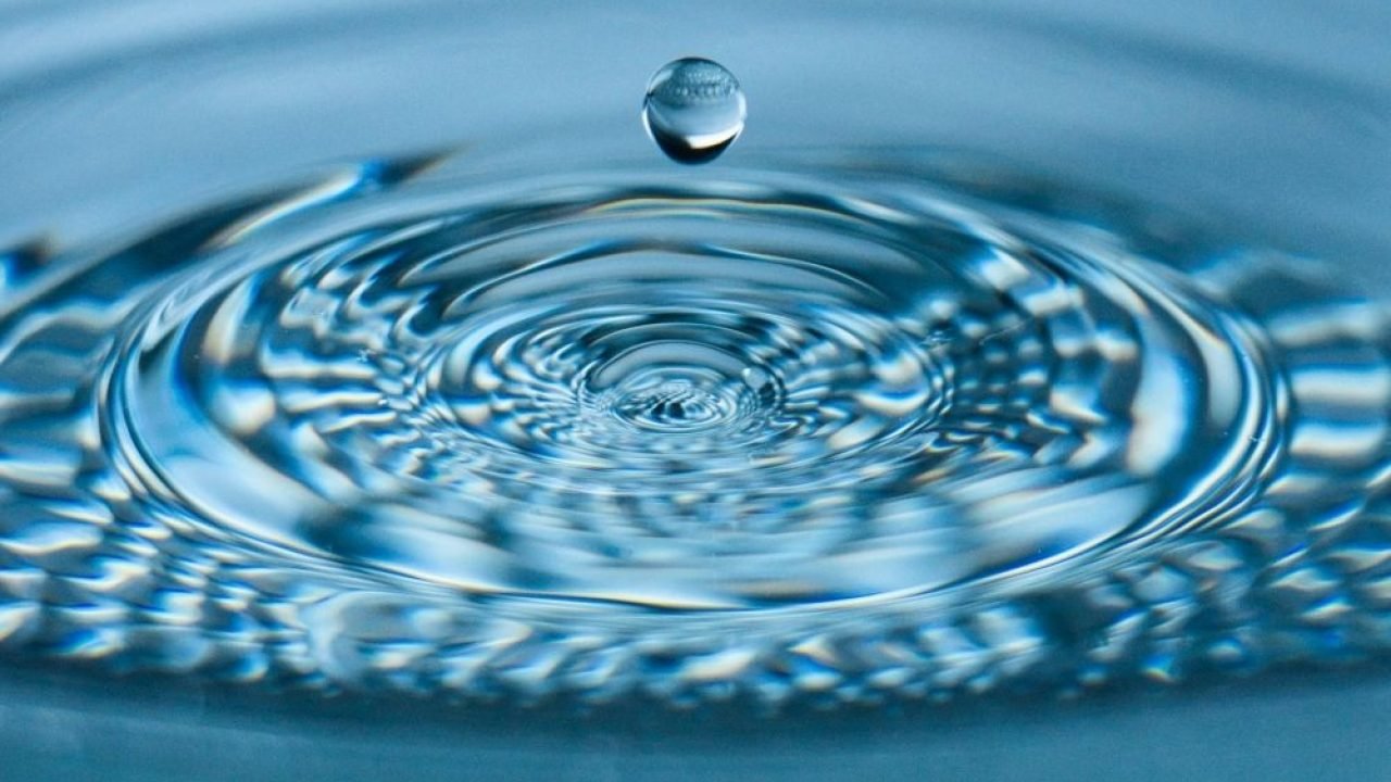 gota